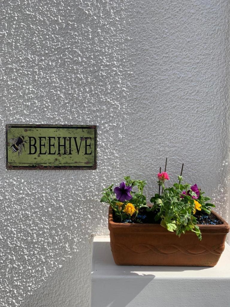 The Beehive - Self Contained Studio By The Sea Apartment Exmouth Exterior photo